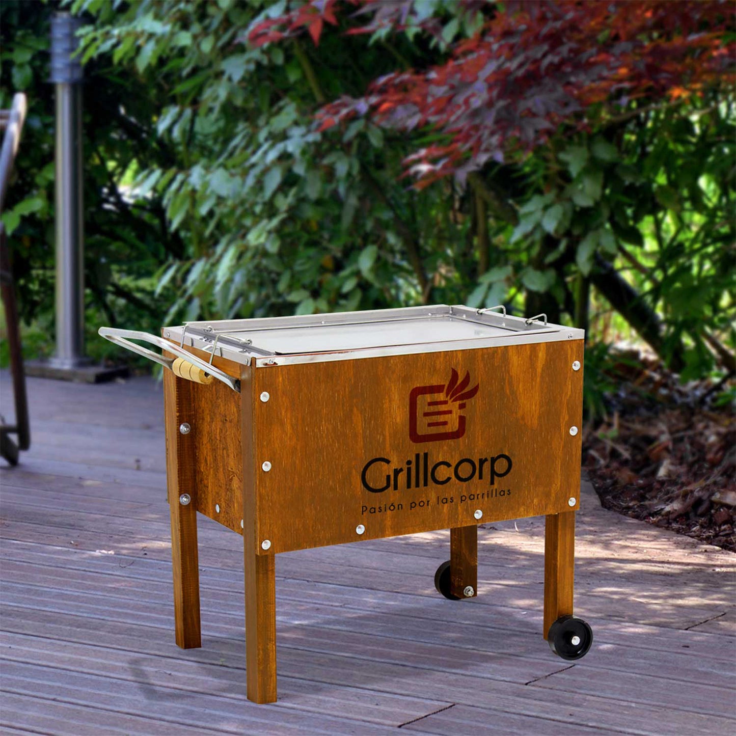 Caja China Junior Caoba Premium