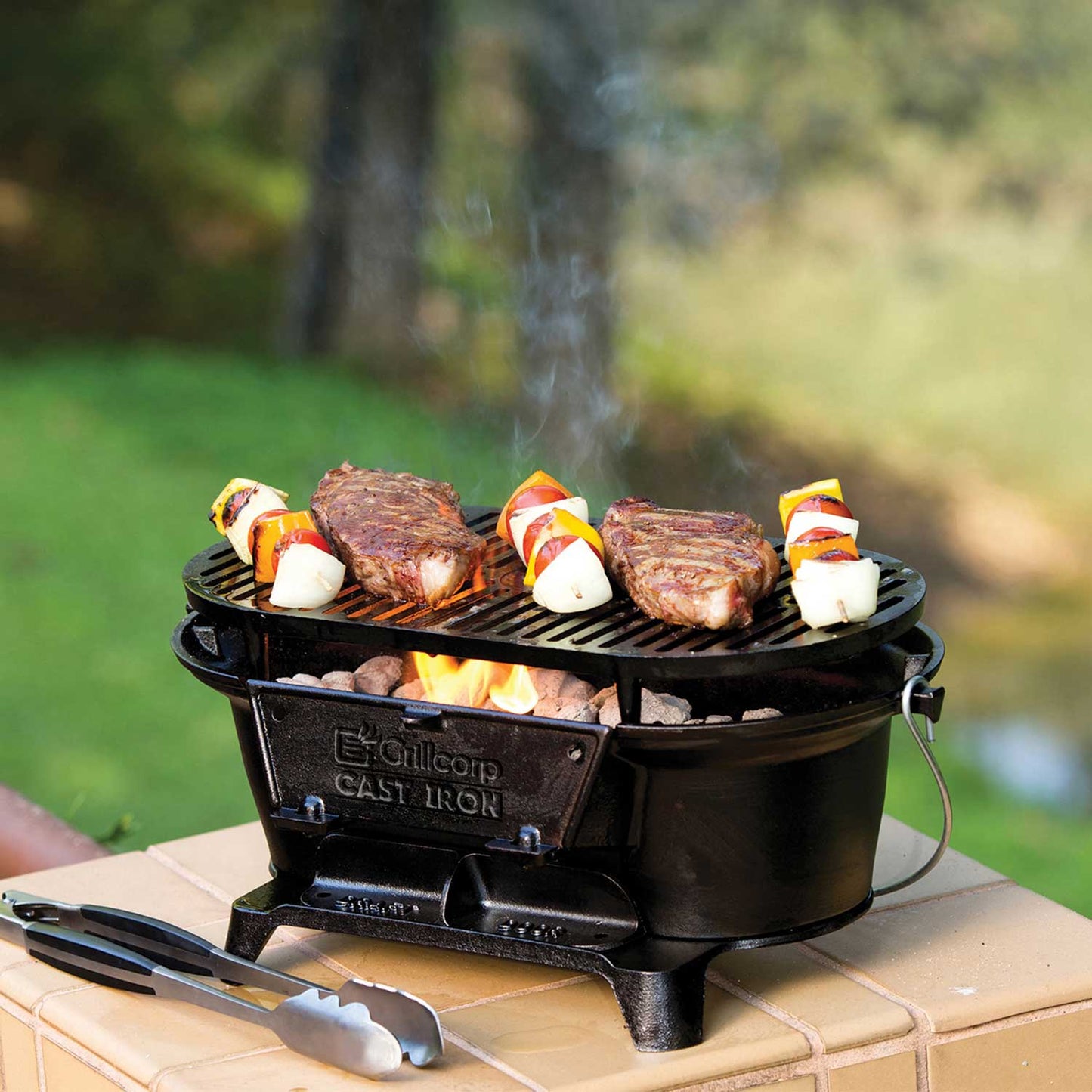 Parrilla 50x30 cm de Hierro Fundido